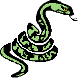 蛇の画像