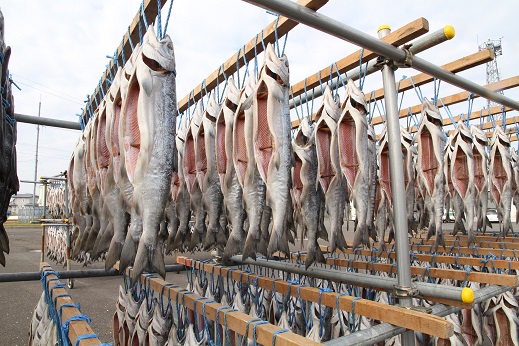 鮭山漬寒風干しの写真