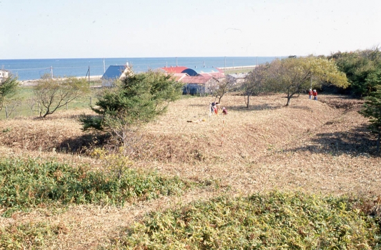 陣屋関連施設が見つかった場所の写真