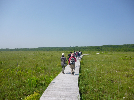 標津湿原の写真