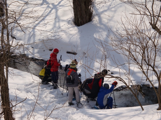 伊茶仁カリカリウス遺跡の湧き水の写真
