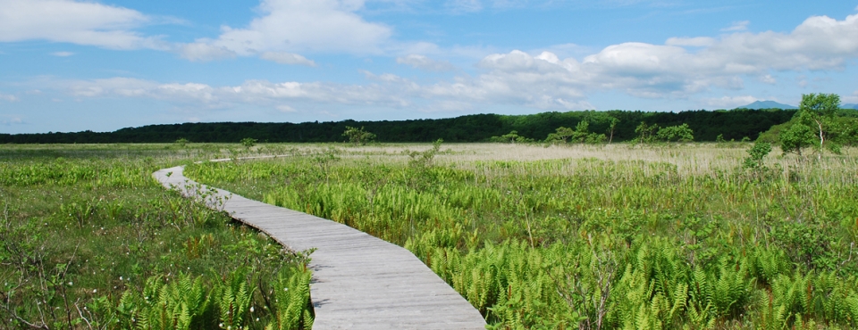 ポー川史跡自然公園の写真