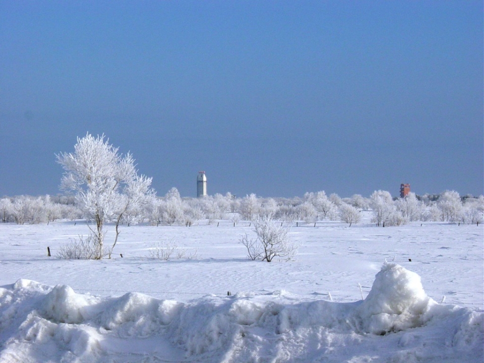 サーモンパークの写真