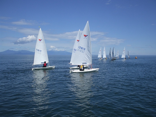 ヨットレースの写真