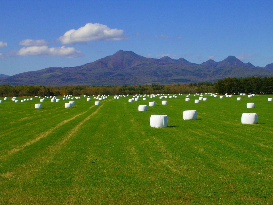 晩夏の武佐岳と牧草ロールの写真