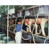 標津町の農業の様子