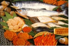 標津前浜で獲れた海産物の写真