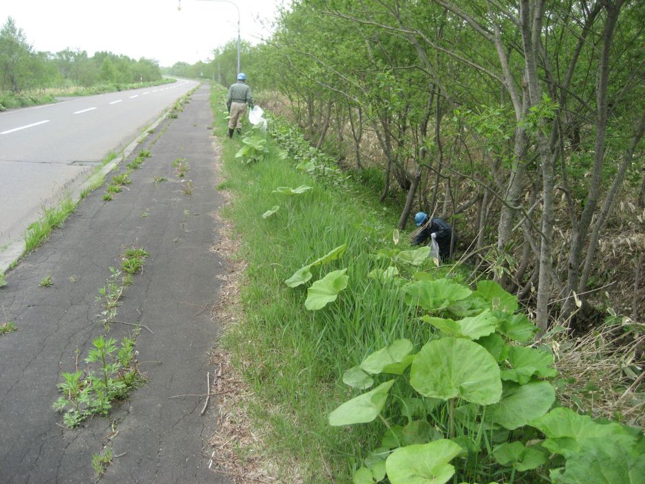 活動の様子（出口設備有限会社）