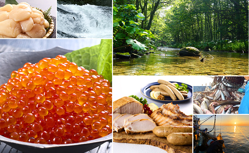 標津町の返礼品や景色